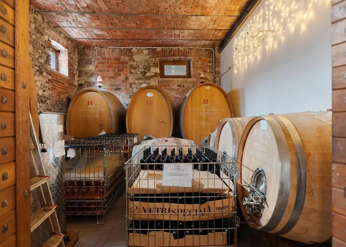 Alojamento de Turismo Rural Decanter House Borgomanero